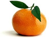 mandarina2
